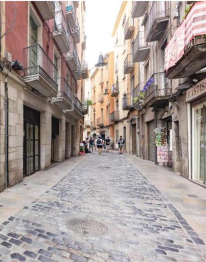 Apartamento Con Encanto Y Terraza En Barri Vell De Girona, El Cul De La Lleona Apartamento Exterior foto